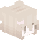 Nia2B2T