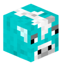 Conway13