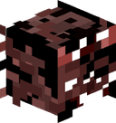 turbojionni