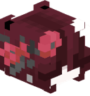 IdkMoshi