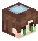 Shalevgal1