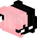 usedtothis