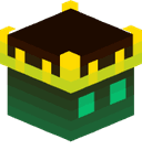 coresingularity