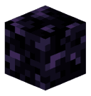 Pusepi