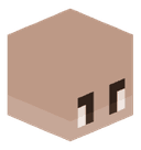 xqvtt