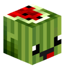 MelonMcc