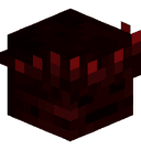 Koravx