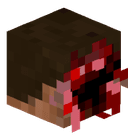 ngueybd