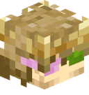 turtle5568