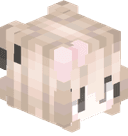 PyxlXD