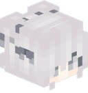akkiiPC