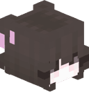 nekonnection