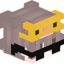 stxrrise