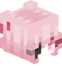 raspberrypiies