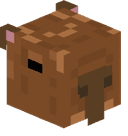 Olly_Bob