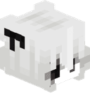 X_NN