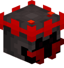 SolariceBear