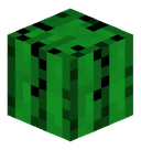 HiBroItsMeCactus