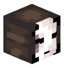 _COCOTEK_