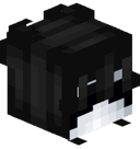 SkyGuy_ProPlayer