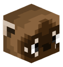 coati__