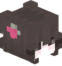 maximusspl