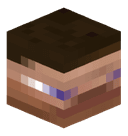 xvd_mc