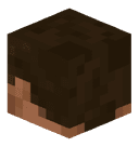 BrainShield6346