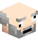 wRicco