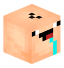 wiattfv13