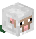 HoodedBaa64
