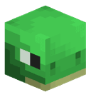 Turtles_sqz