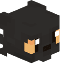 renvizous