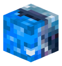 axol_l