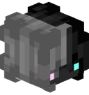 RicherSan