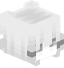 udpdump