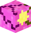 LCMChuchogm