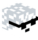 Marian_Lopata