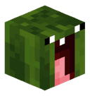 Pickle5566