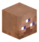 Pores