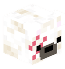 ChaosBear79