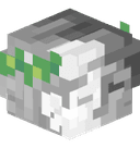 pseldonim_f1