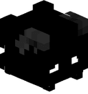 dvrkpvp