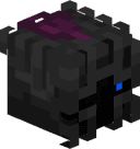 ShadowZz21
