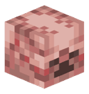 senDnudEs