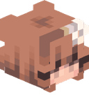 DenjiHayakawa