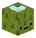 Zeeaugurk