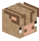 Beedgt5