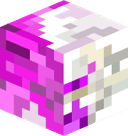 DONI369