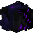DrewPr02